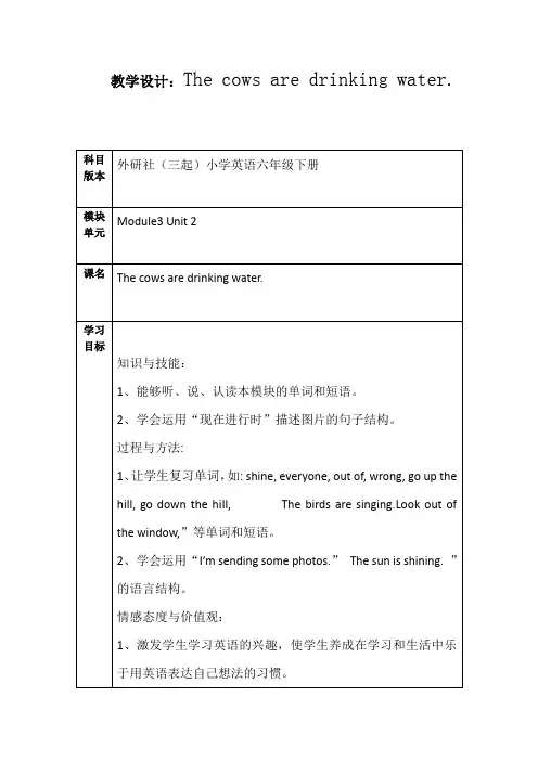 (外研版)小学英语六年级下册教案Module 3 Unit 2 The cows are drinking water