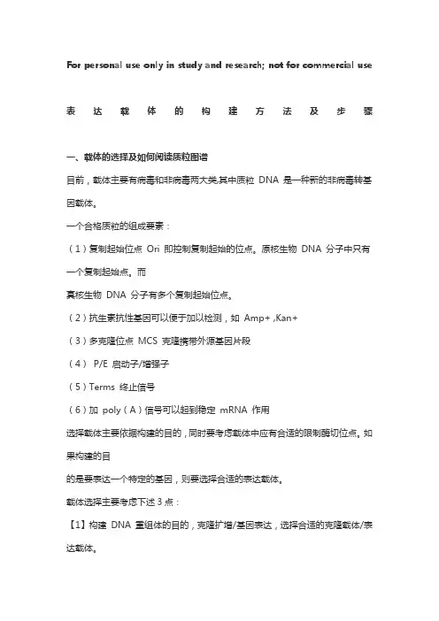 表达载体的构建方法及步骤