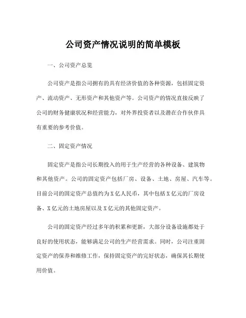 公司资产情况说明的简单模板