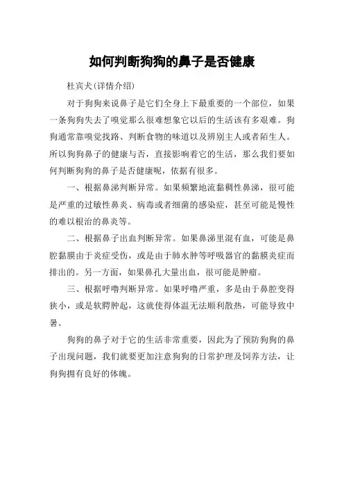 如何判断狗狗的鼻子是否健康