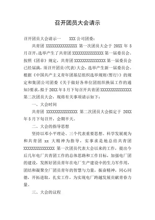 召开团员大会请示