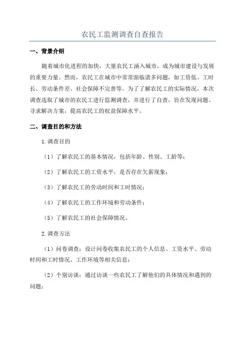 农民工监测调查自查报告