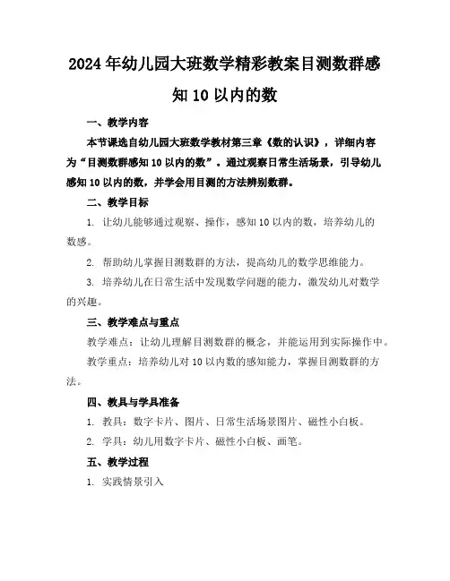 2024年幼儿园大班数学精彩教案目测数群感知10以内的数