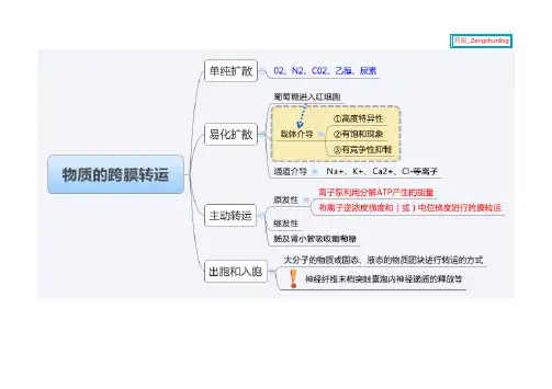 (仅供参考)生理学思维导图总结