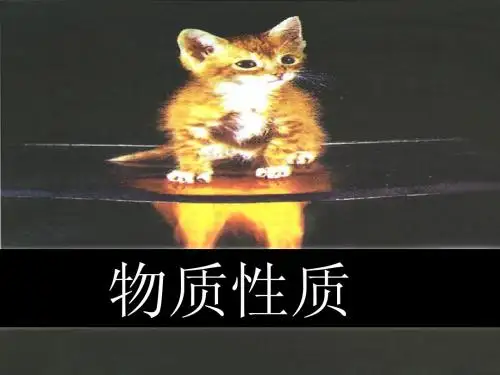 物理、化学性质