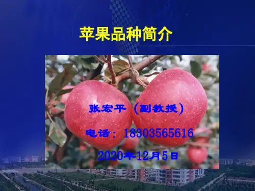 1《苹果品种》课件
