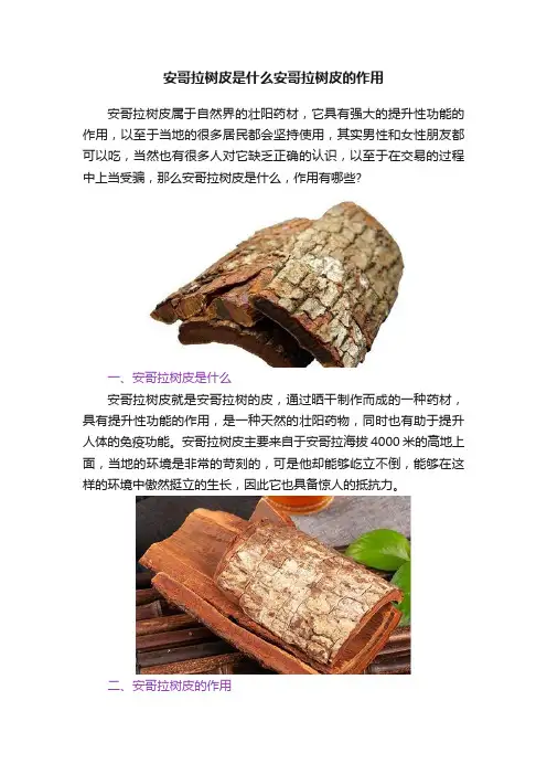 安哥拉树皮是什么安哥拉树皮的作用