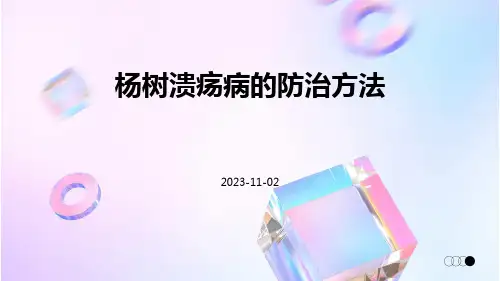 杨树溃疡病的防治方法