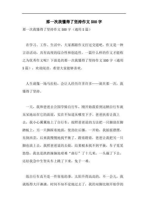 那一次我懂得了坚持作文500字