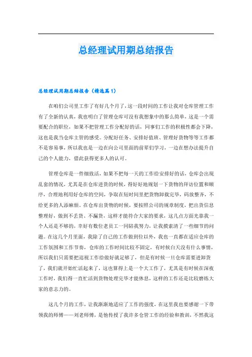 总经理试用期总结报告