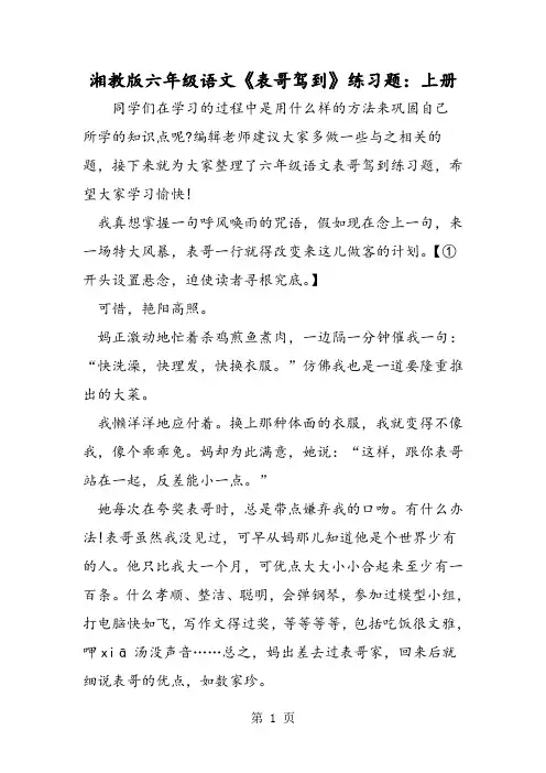 湘教版六年级语文《表哥驾到》练习题：上册-文档资料