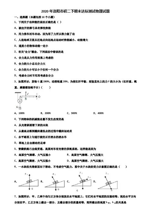 2020年洛阳市初二下期末达标测试物理试题含解析