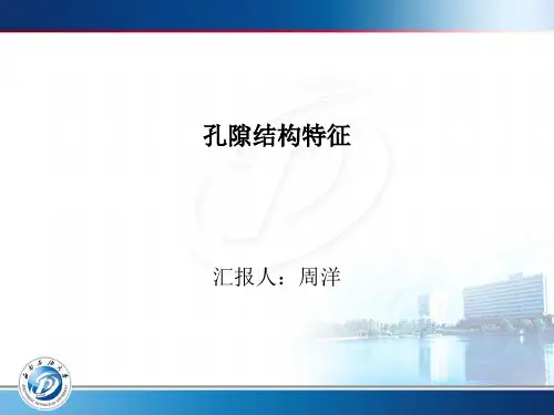 孔隙结构特征 [自动保存的]
