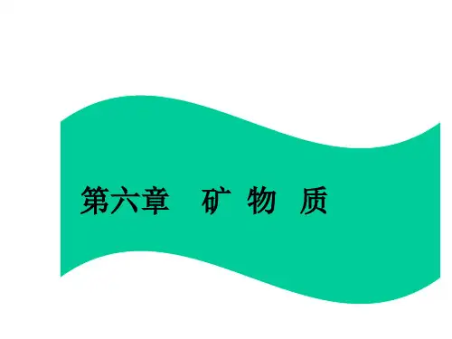 第六章 矿物质 PPT课件