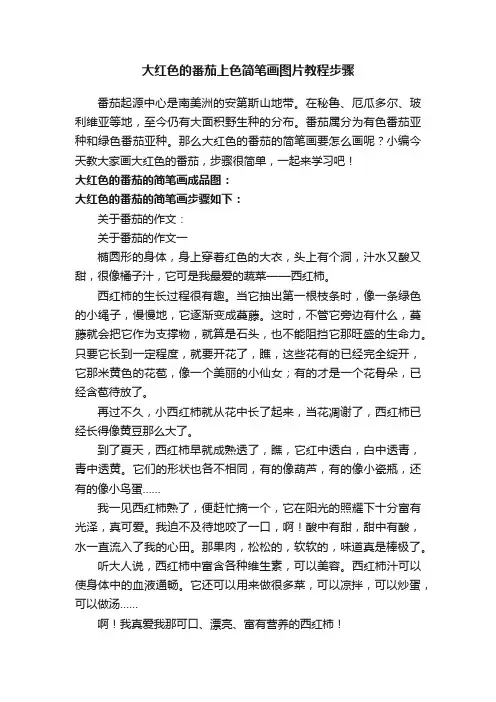 大红色的番茄上色简笔画图片教程步骤