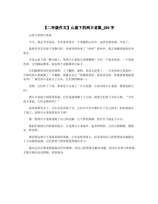 【二年级作文】山崖下的两只老鼠_250字