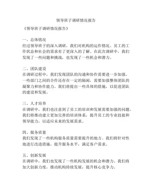 领导班子调研情况报告