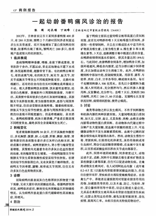 一起幼龄番鸭痛风诊治的报告