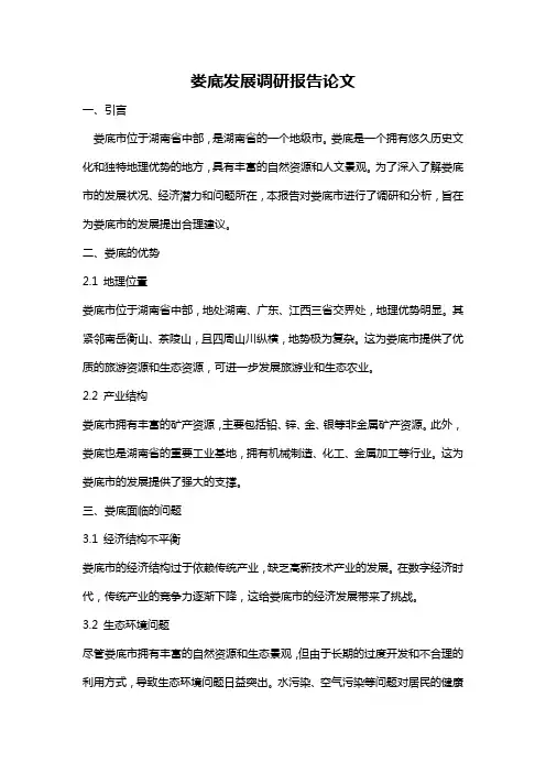 娄底发展调研报告论文