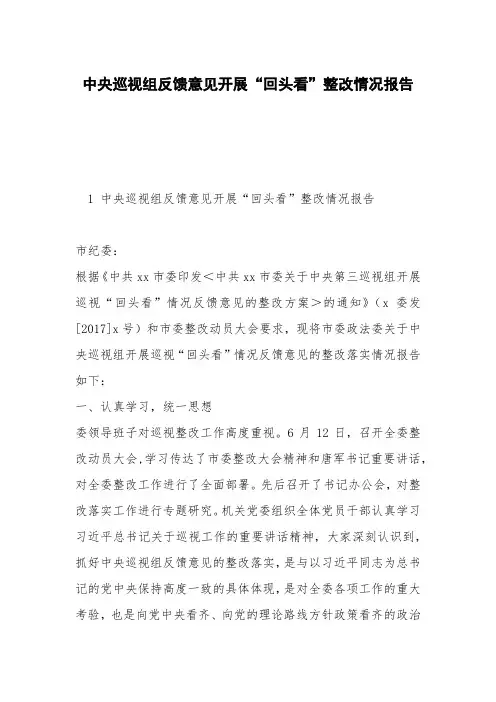 中央巡视组反馈意见开展“回头看”整改情况报告