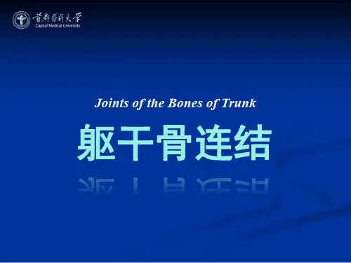 【课件-系统解剖学】_05 躯干骨连结_首都医科大学_