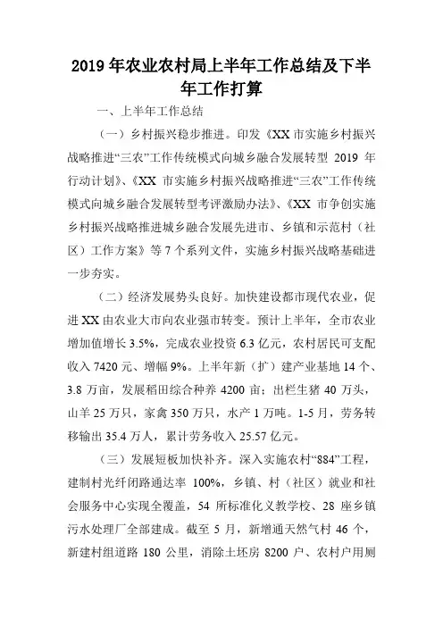 2019年农业农村局上半年工作总结及下半年工作打算.doc