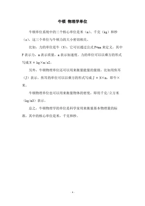 牛顿 物理学单位