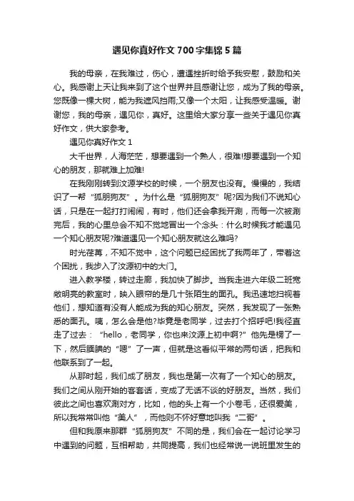 遇见你真好作文700字集锦5篇