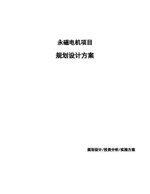 永磁电机项目规划设计方案 (1)