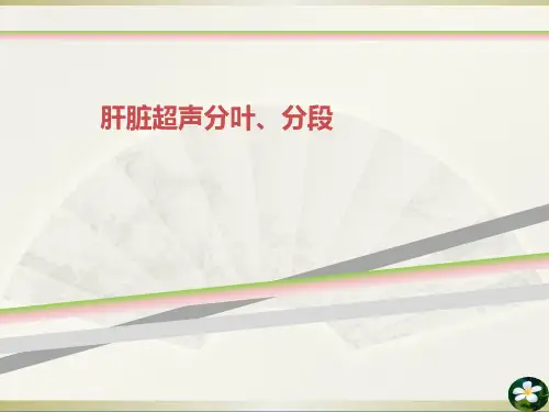 肝脏超声分叶、分段