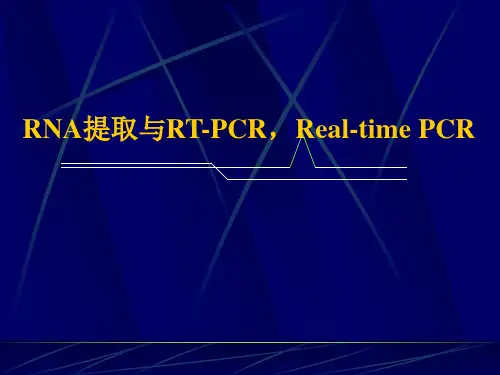 RT-PCR and real-time PCR