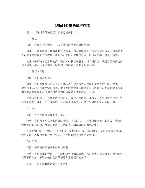 [精品]分镜头脚本范文