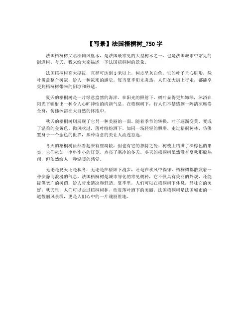 【写景】法国梧桐树_750字
