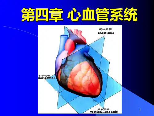 心血管系统核医学课件