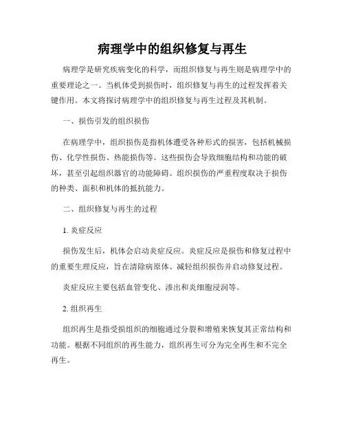 病理学中的组织修复与再生