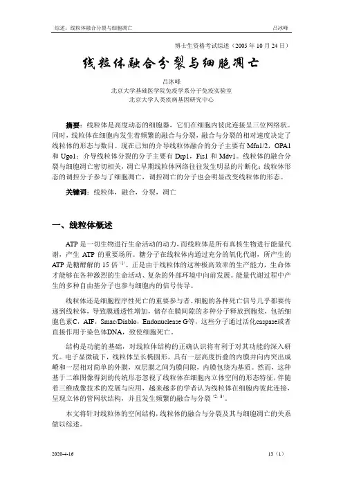 综述线粒体融合分裂与细胞凋亡