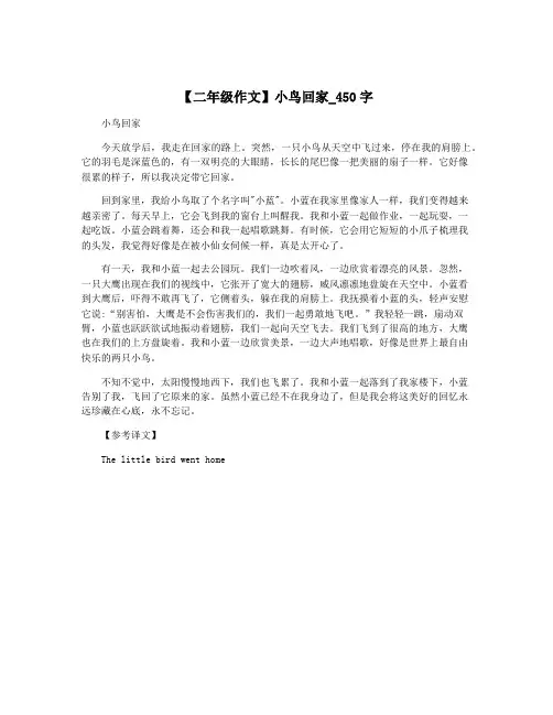 【二年级作文】小鸟回家_450字