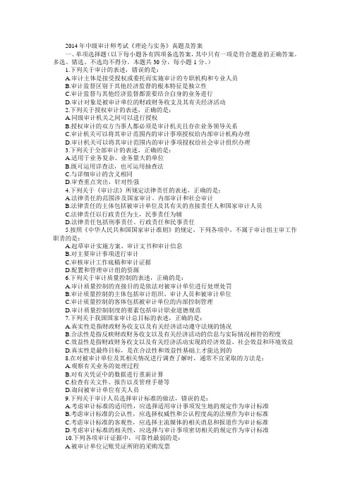 2014年中级审计师考试《理论与实务》真题、答案