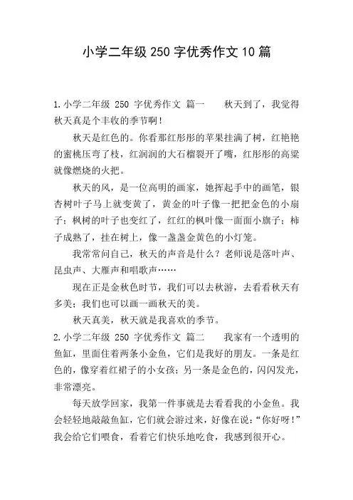 小学二年级250字优秀作文10篇