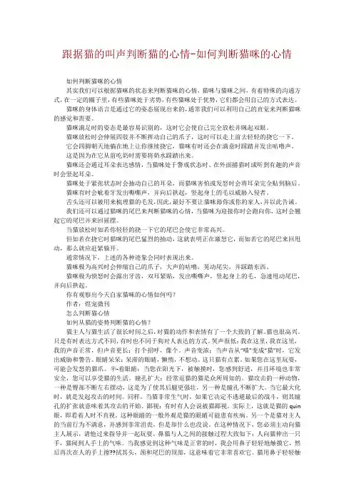 跟据猫的叫声判断猫的心情-如何判断猫咪的心情