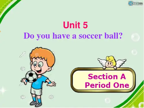 Do you have a soccer ball课件