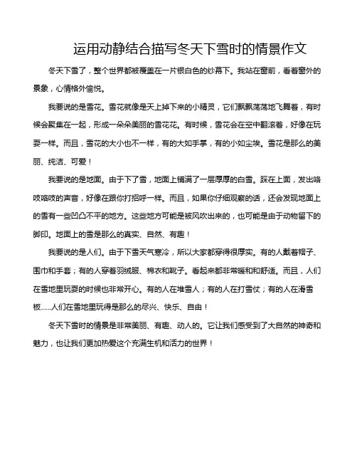 运用动静结合描写冬天下雪时的情景作文