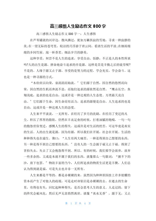 高三感悟人生励志作文800字
