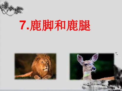 人教部编版三年级下册语文课件：7课 狮子和鹿(共21张PPT)演示PPT课件