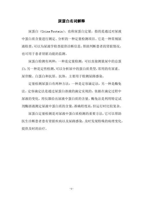 尿蛋白名词解释