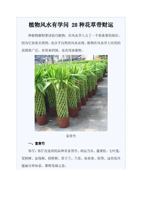 28种花草带财运
