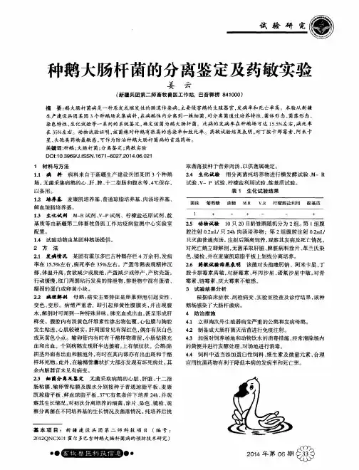 种鹅大肠杆菌的分离鉴定及药敏实验
