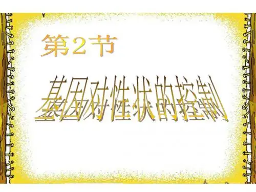 高中生物人教版必修二4.2 基因对性状的控制 课件