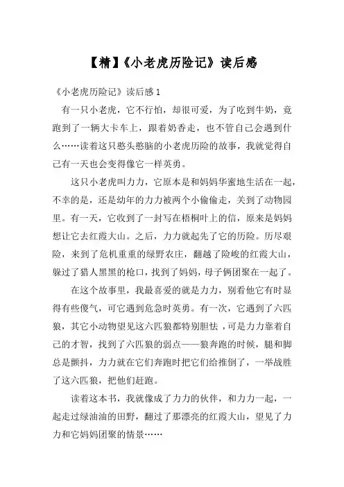 【精】《小老虎历险记》读后感
