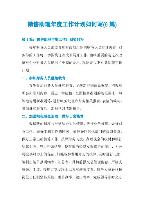销售助理年度工作计划如何写(6篇)